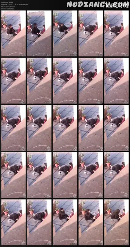 فضيحة اندر ايدج شرموطة عند الكلية هي وحبيبها قاعدين عند سلالم المدرجات بتعمله بلوجوب وهما قاعدين