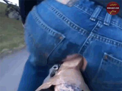 1000141822.gif
