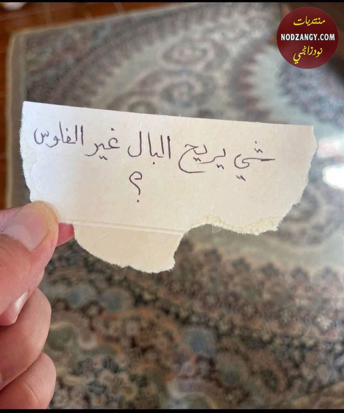 IMG_٢٠٢٦٠٦٠٥_١٨٢٣٠١.jpg
