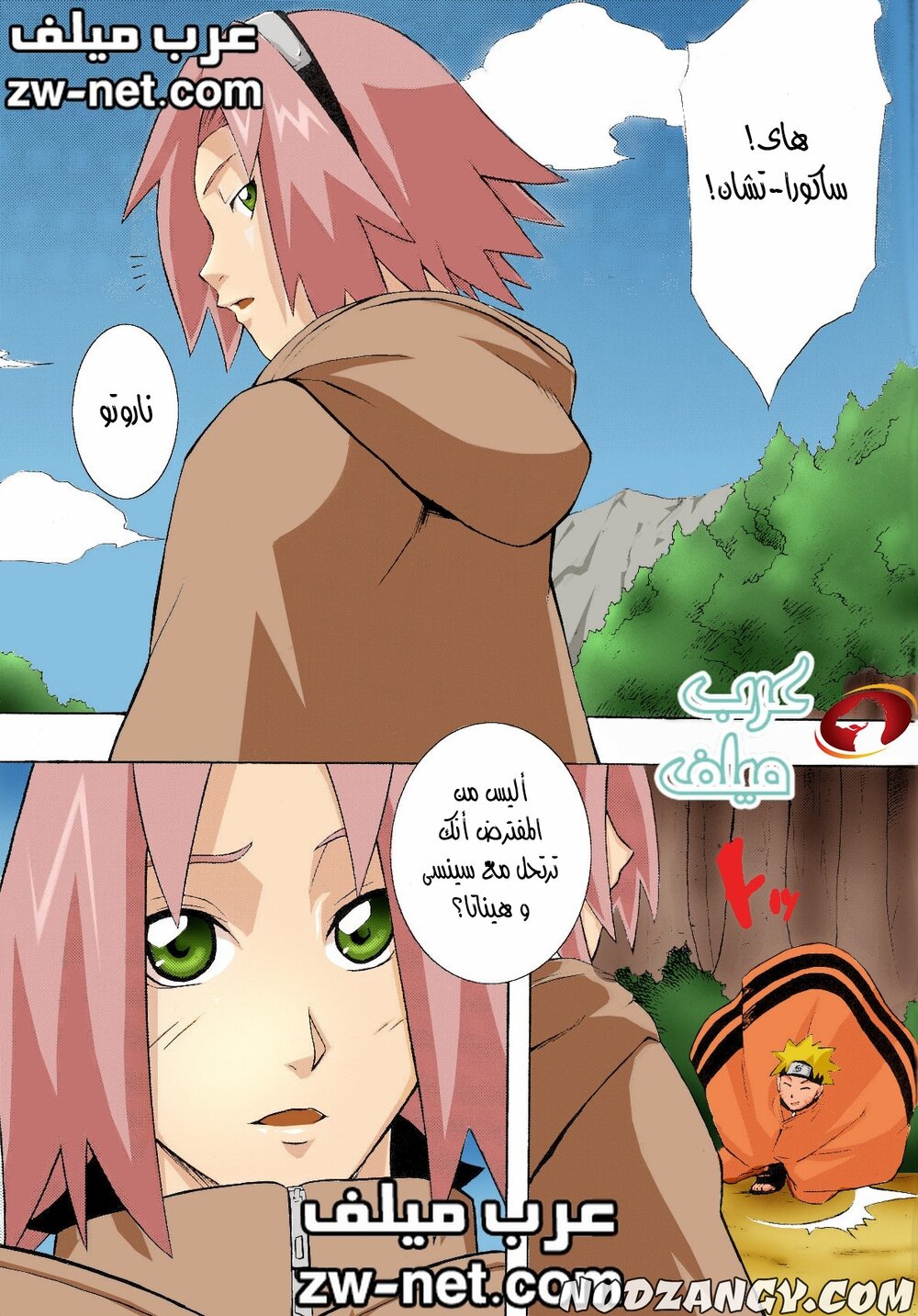 zw-net-1-31.jpg zw-net-1-31.jpg