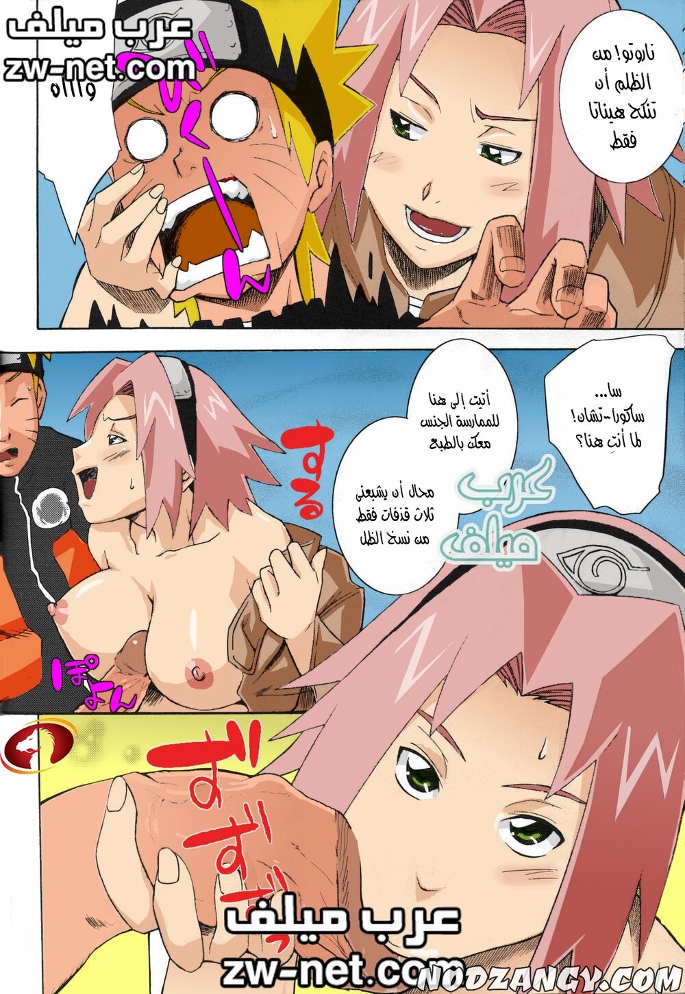 zw-net-28-6.jpg zw-net-28-6.jpg