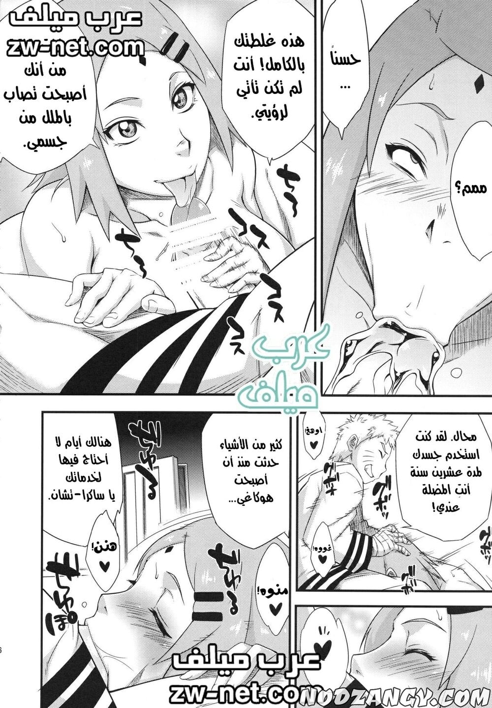 zw-net-2-23.jpg zw-net-2-23.jpg