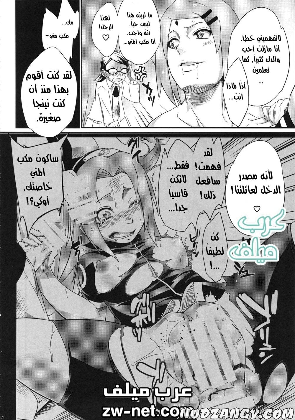 zw-net-8-21.jpg zw-net-8-21.jpg