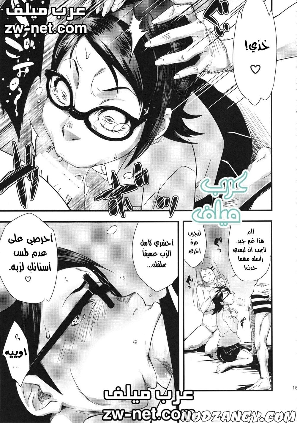 zw-net-11-20.jpg zw-net-11-20.jpg