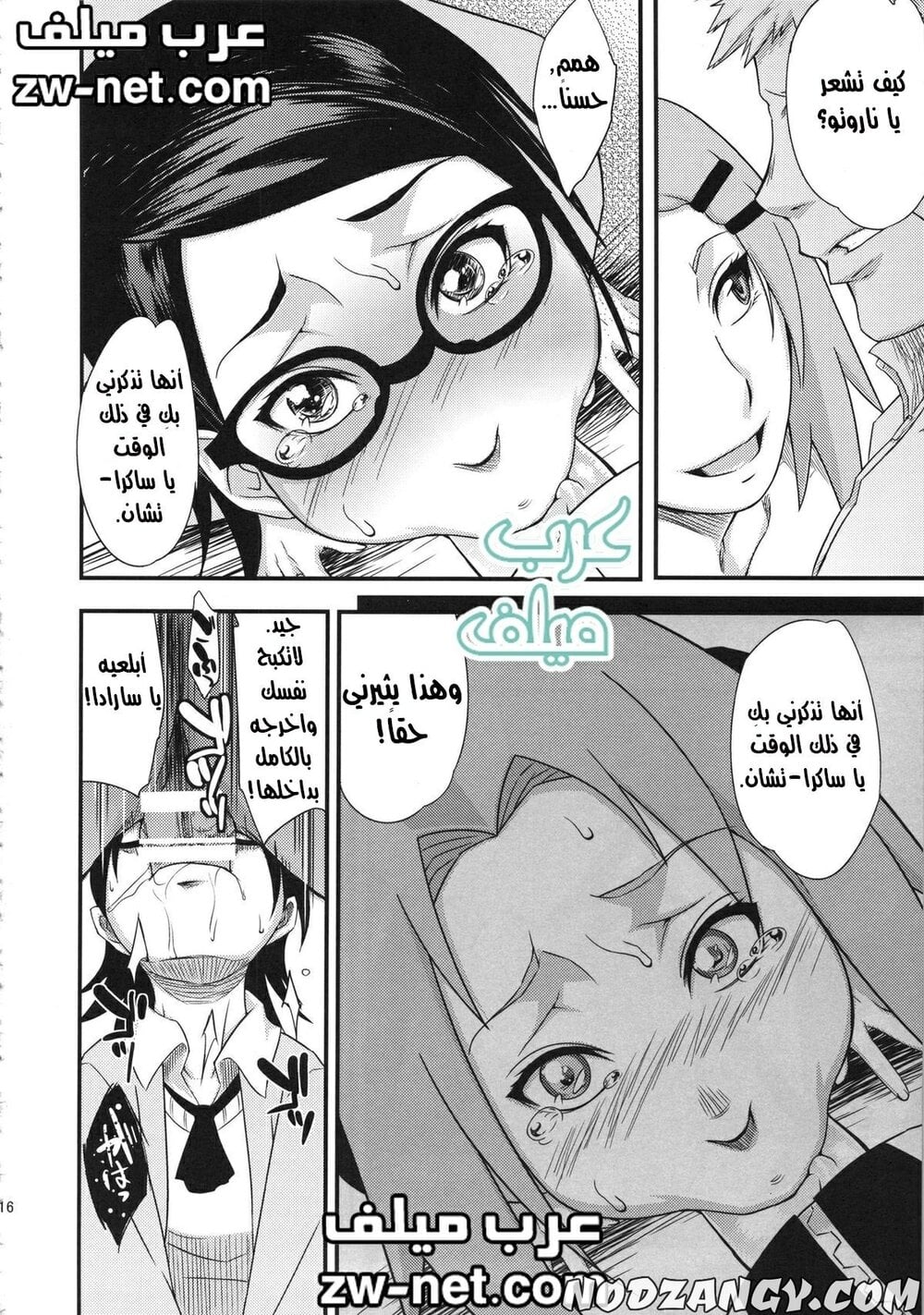 zw-net-12-17.jpg zw-net-12-17.jpg