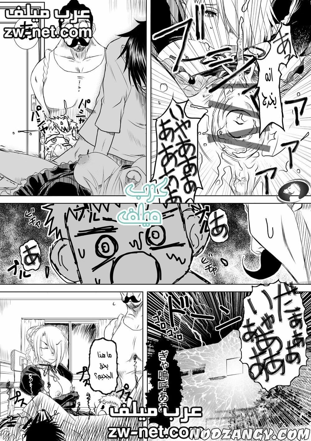 zw-net-16-3.jpg zw-net-16-3.jpg