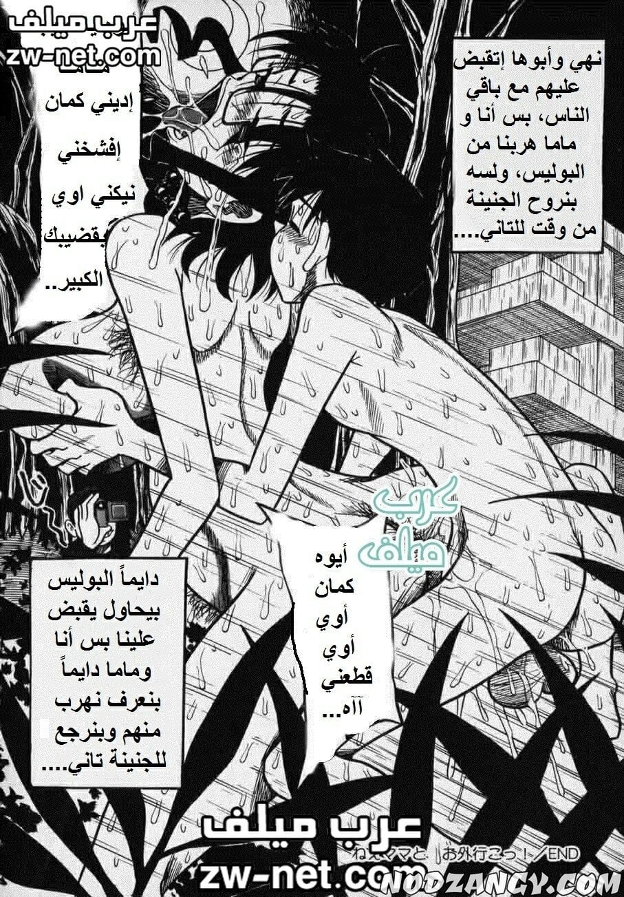 zw-net-20-12.jpg zw-net-20-12.jpg