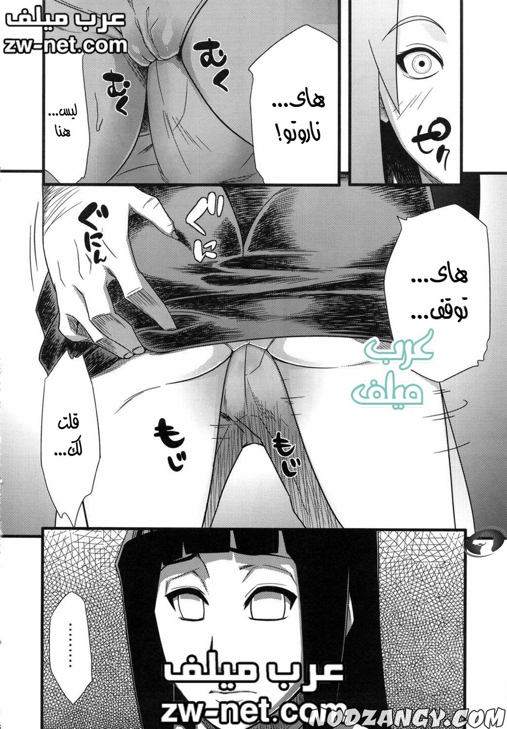 zw-net-2-14.jpg zw-net-2-14.jpg