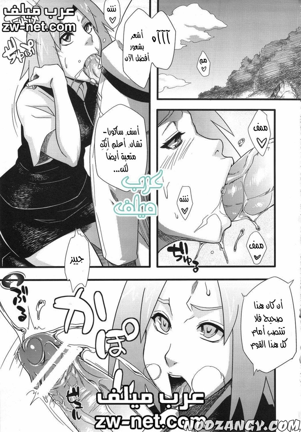 zw-net-3-14.jpg zw-net-3-14.jpg