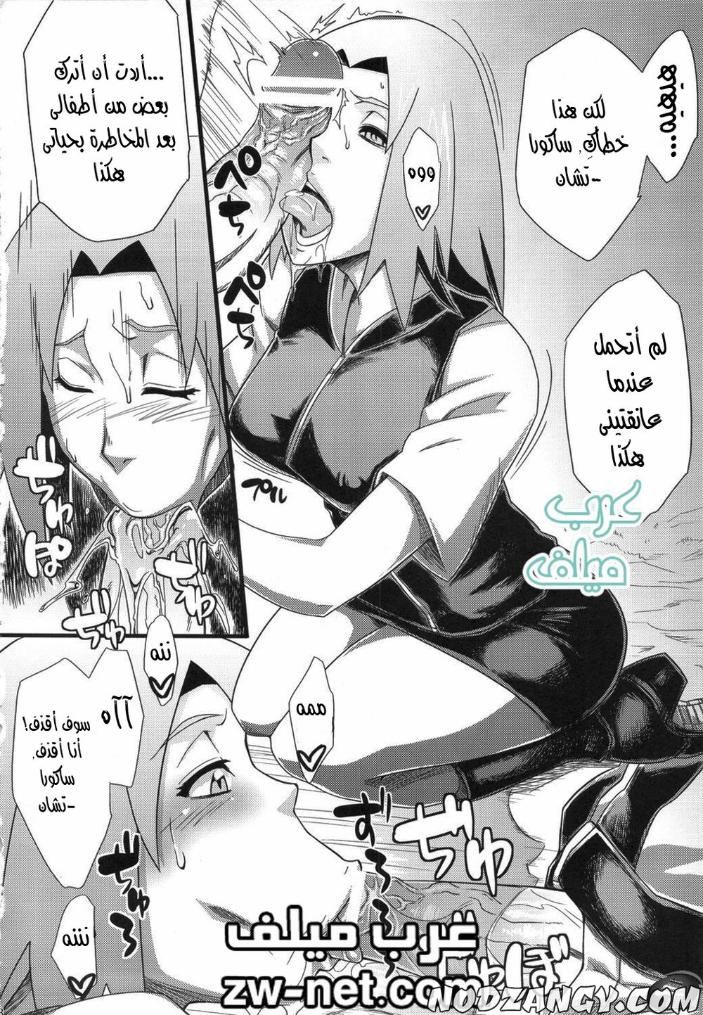 zw-net-4-14.jpg zw-net-4-14.jpg