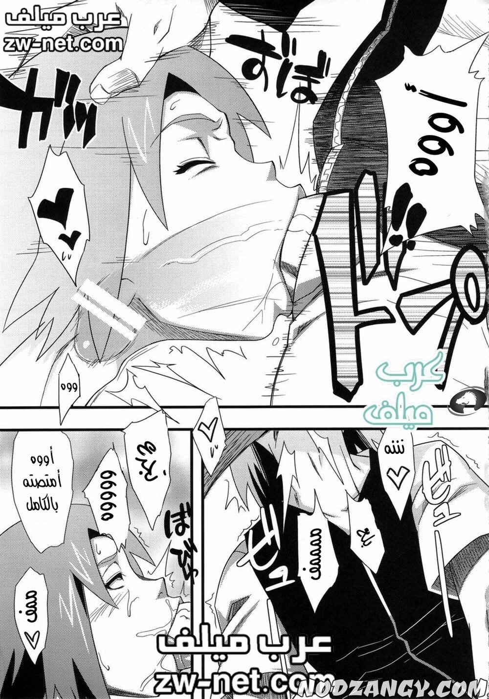 zw-net-5-14.jpg zw-net-5-14.jpg