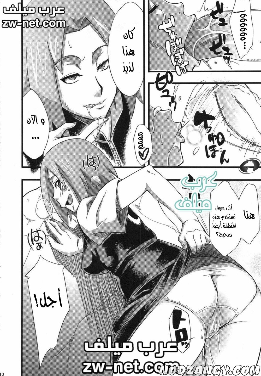 zw-net-6-14.jpg zw-net-6-14.jpg