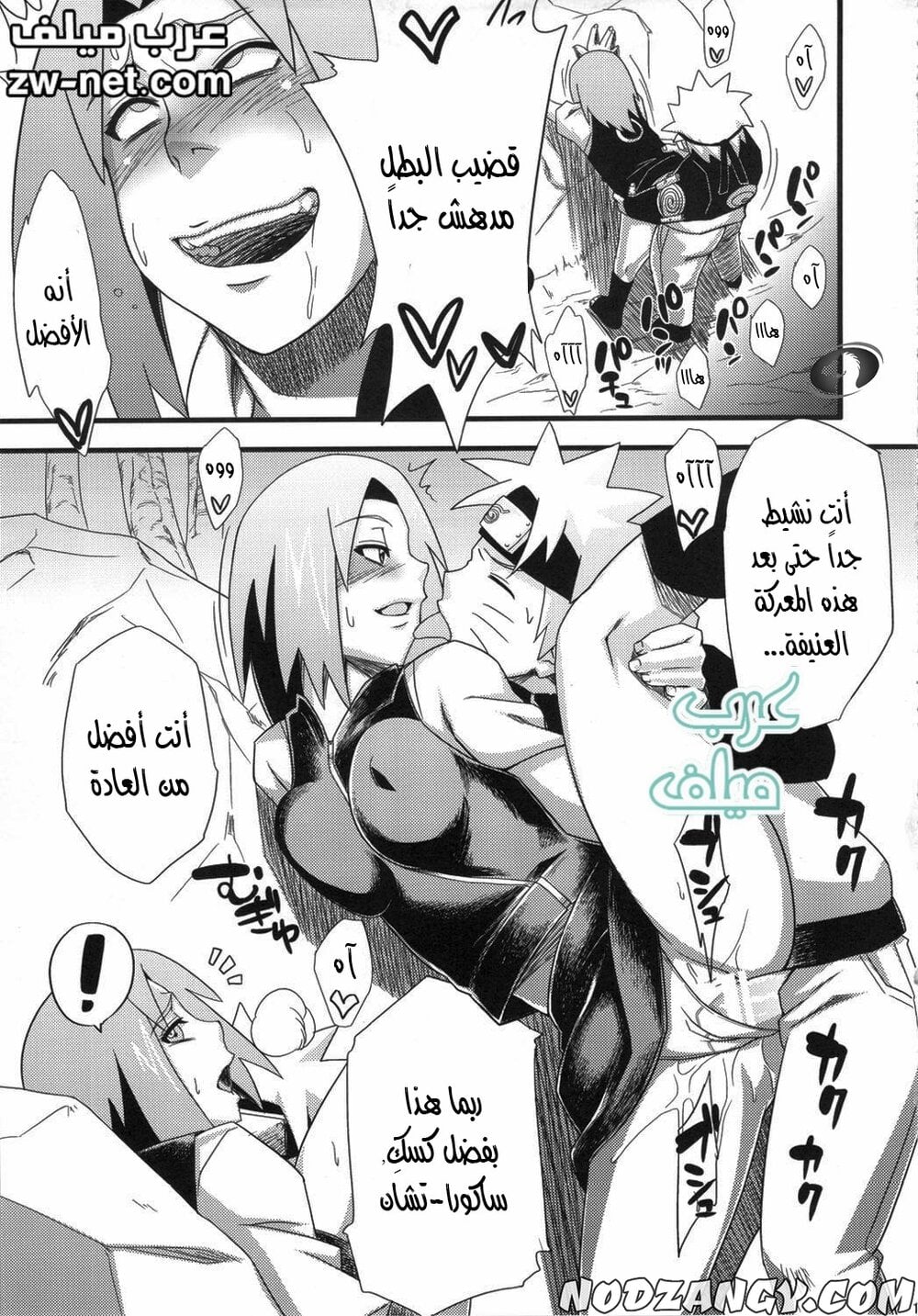 zw-net-7-14.jpg zw-net-7-14.jpg