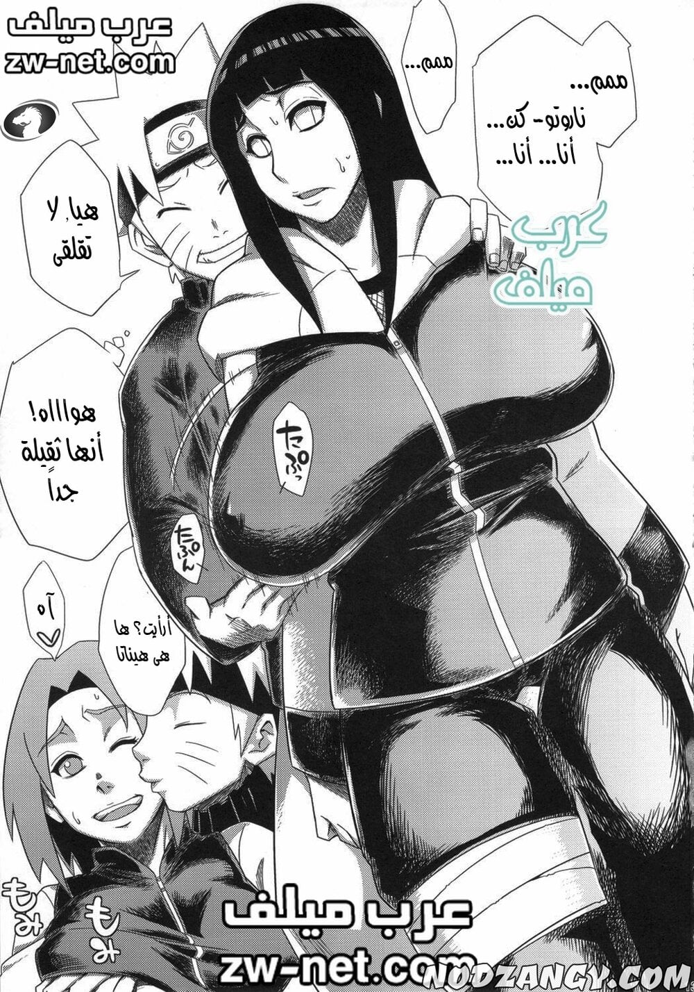 zw-net-9-13.jpg zw-net-9-13.jpg