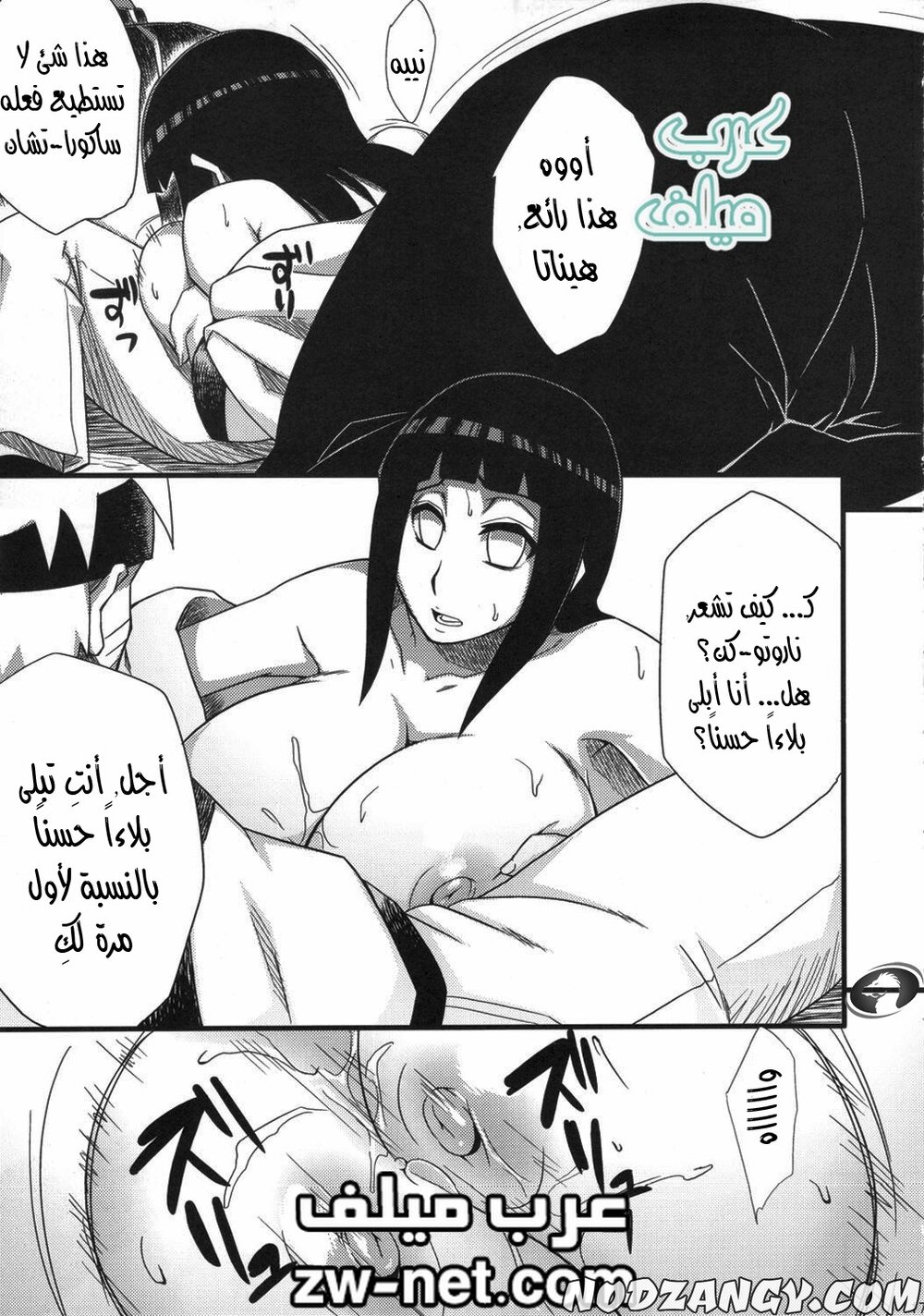 zw-net-13-12.jpg zw-net-13-12.jpg