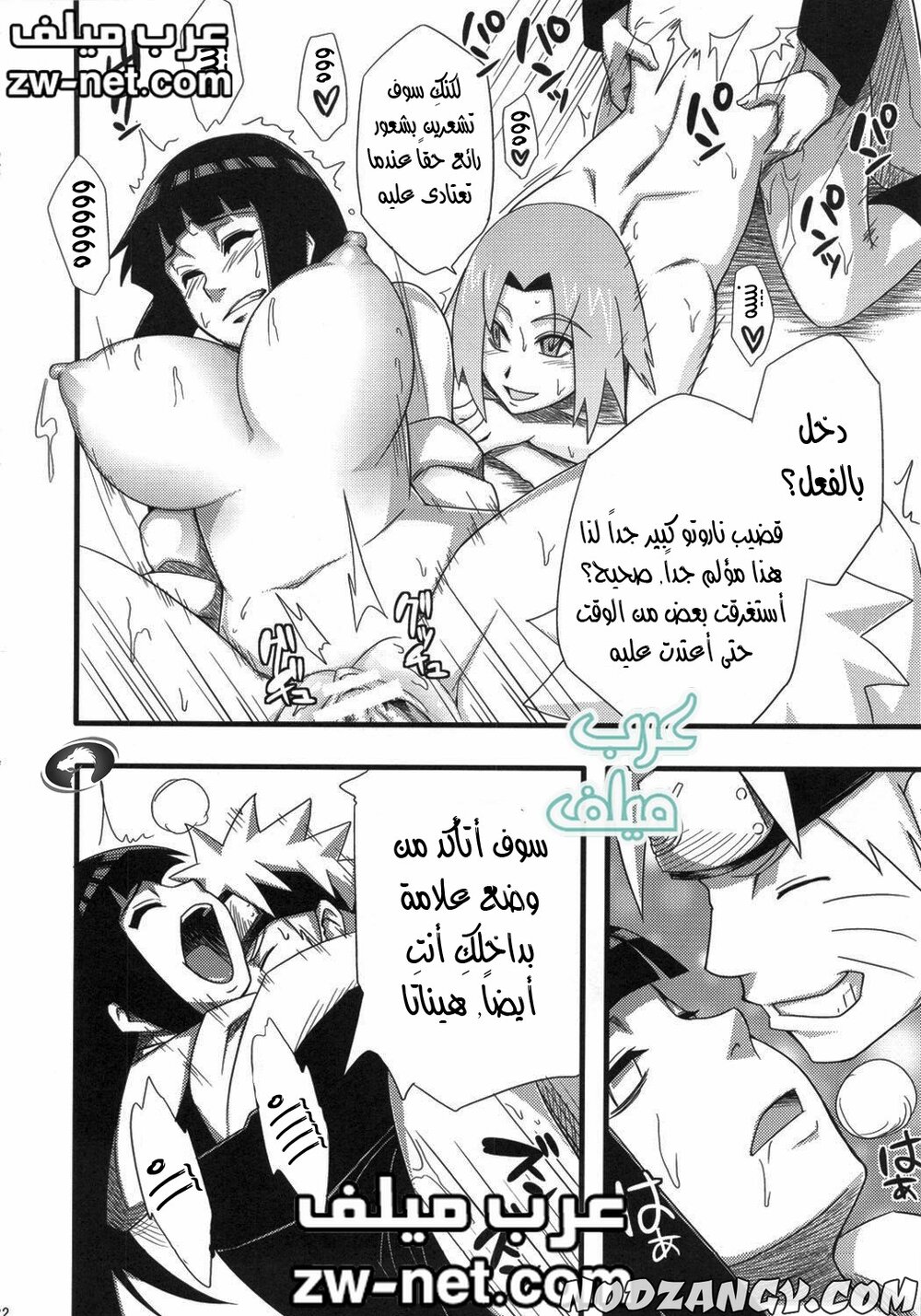 zw-net-18-11.jpg zw-net-18-11.jpg