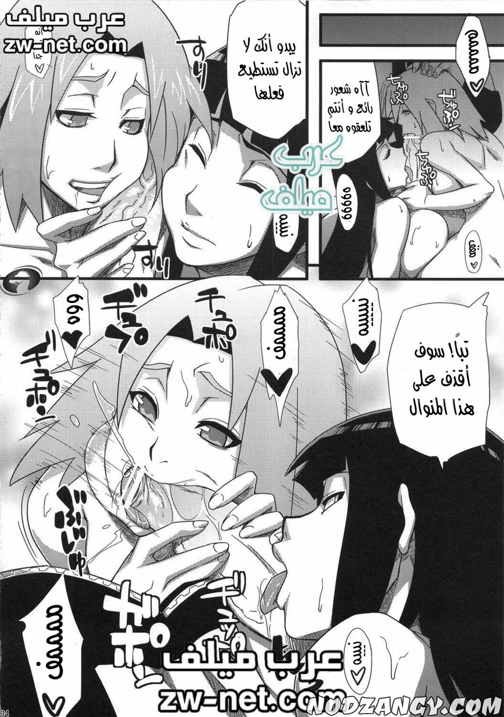 zw-net-30.jpg zw-net-30.jpg