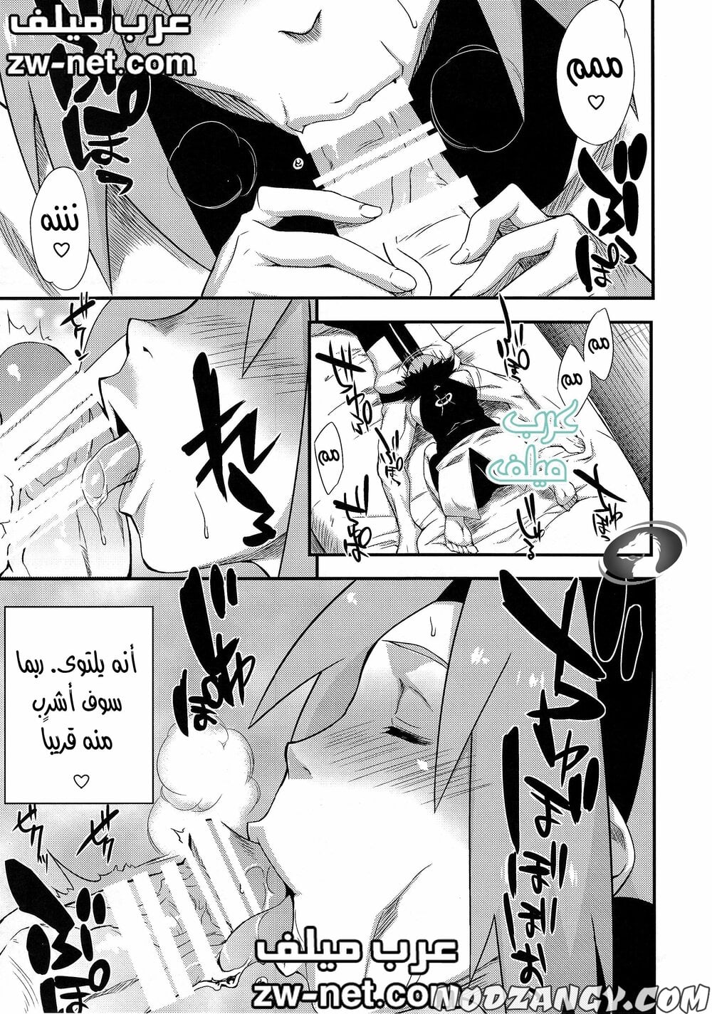 zw-net-1-13.jpg zw-net-1-13.jpg