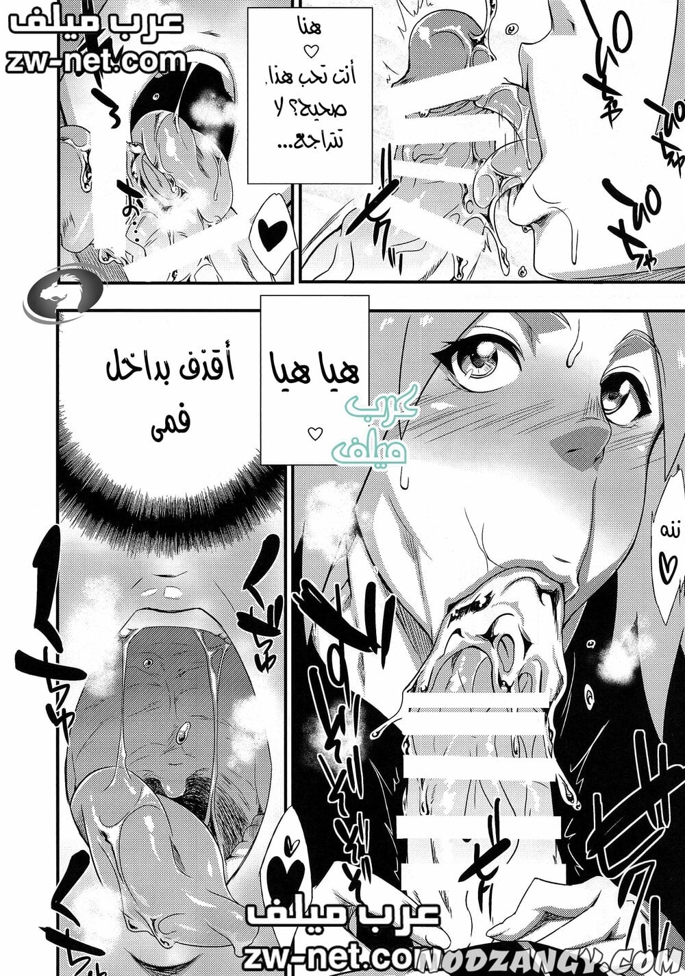 zw-net-2-13.jpg zw-net-2-13.jpg