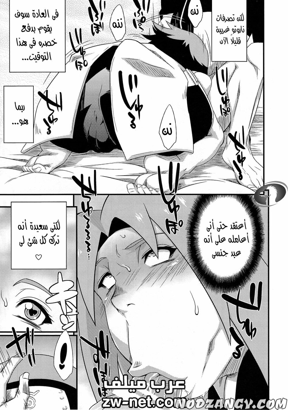 zw-net-3-13.jpg zw-net-3-13.jpg