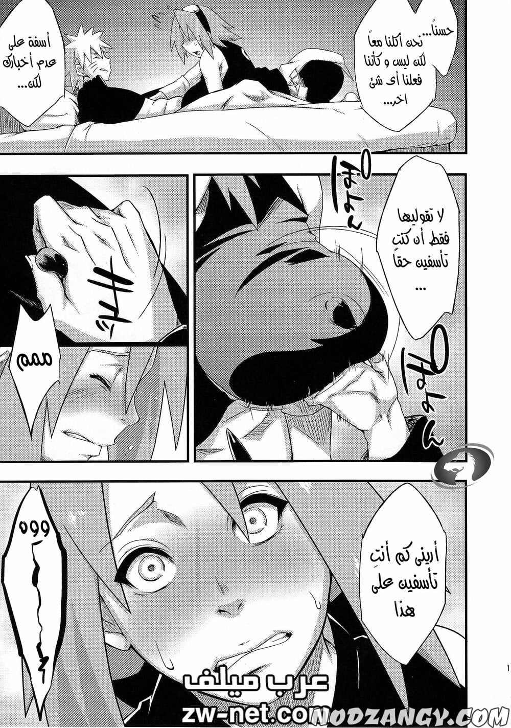 zw-net-7-13.jpg zw-net-7-13.jpg