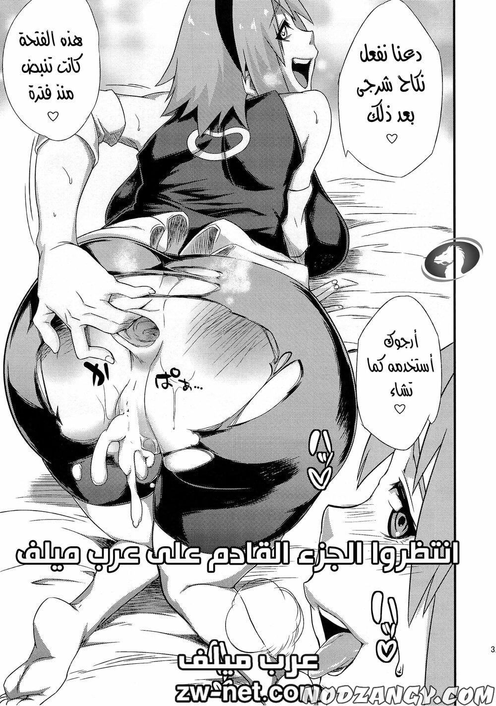 zw-net-27-2.jpg zw-net-27-2.jpg