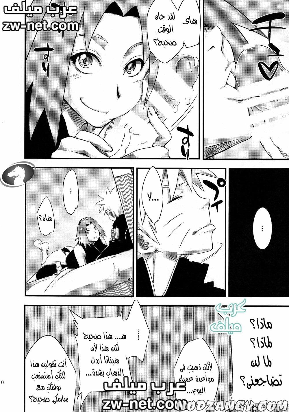 zw-net-6-13.jpg zw-net-6-13.jpg