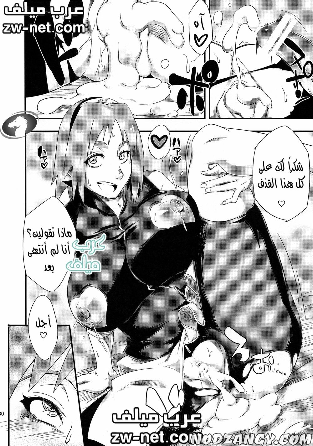 zw-net-26-2.jpg zw-net-26-2.jpg