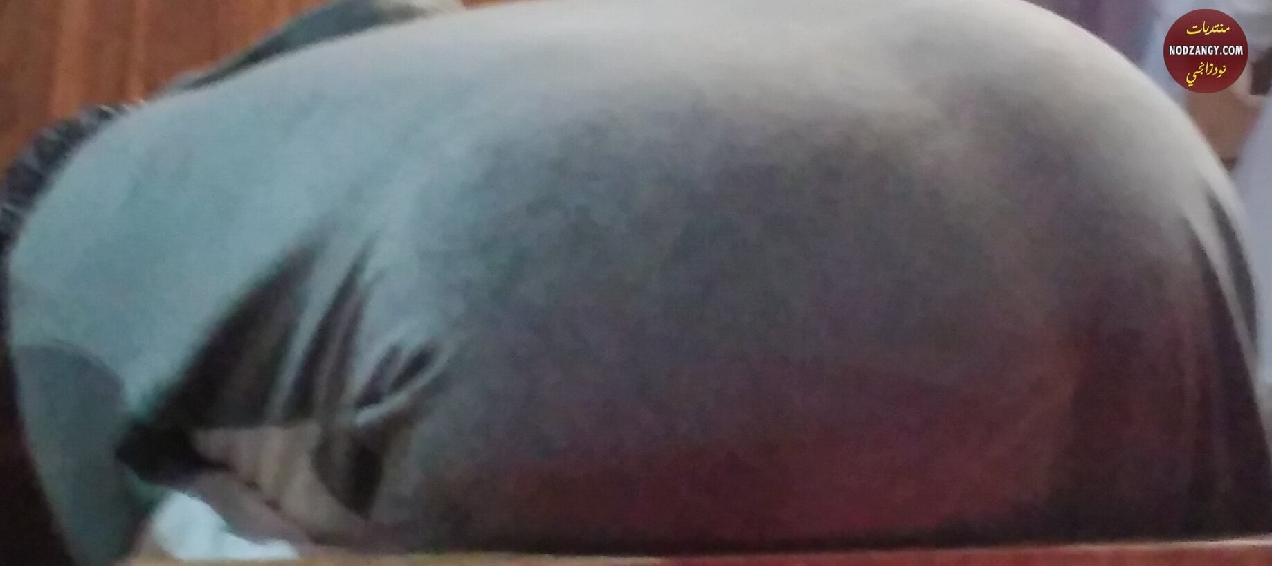 52080__.jpg