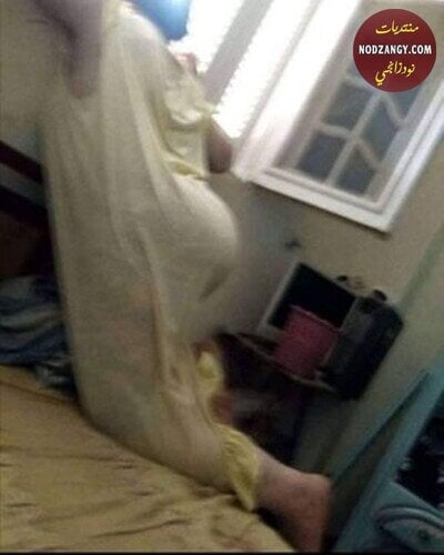 z597p.jpg z597p.jpg