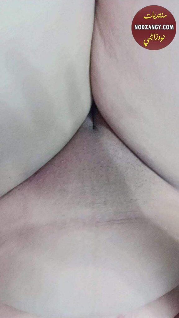 z7MX0.jpg