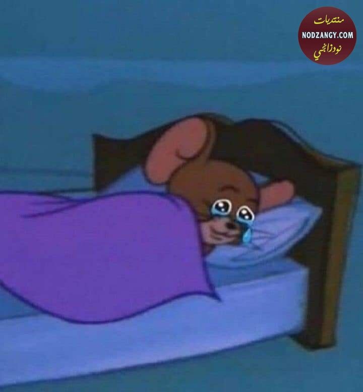 zTIvK.jpg