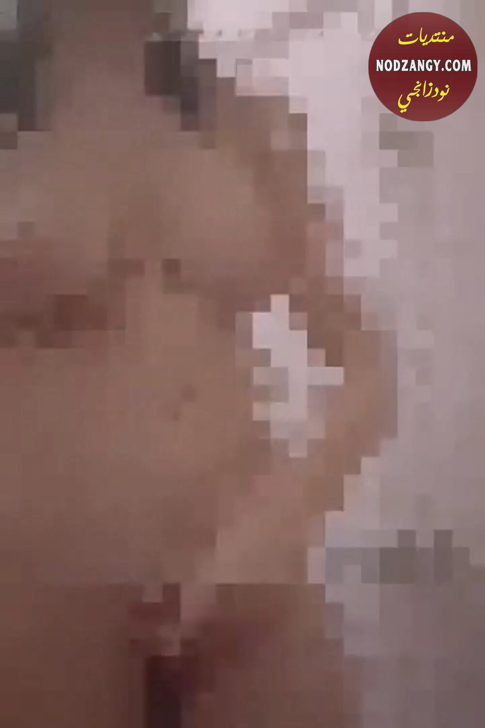 z9WBF.jpg