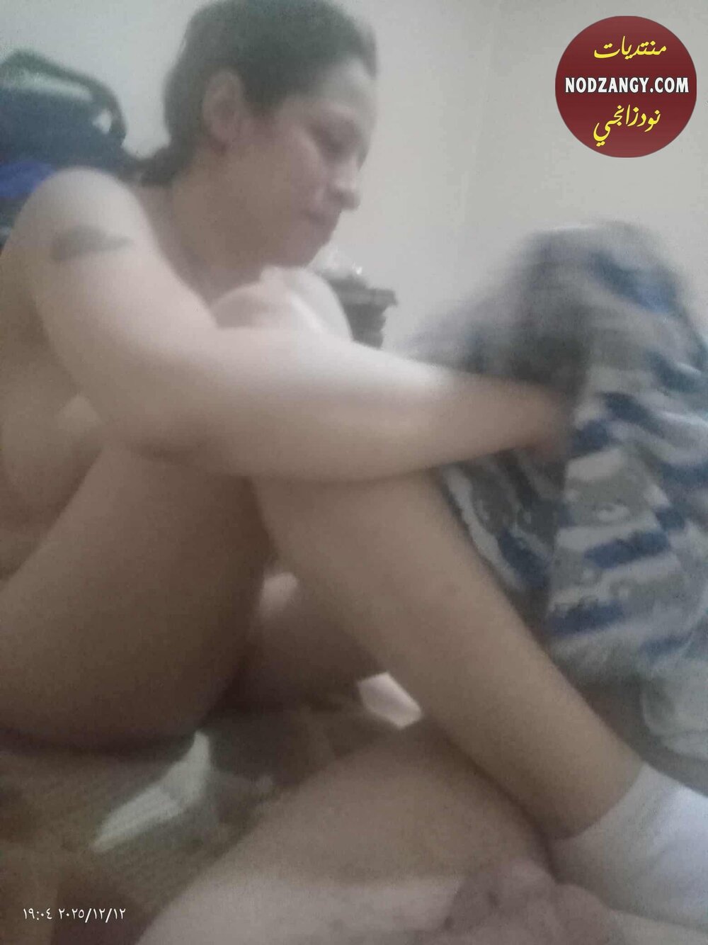 75YH6.jpg