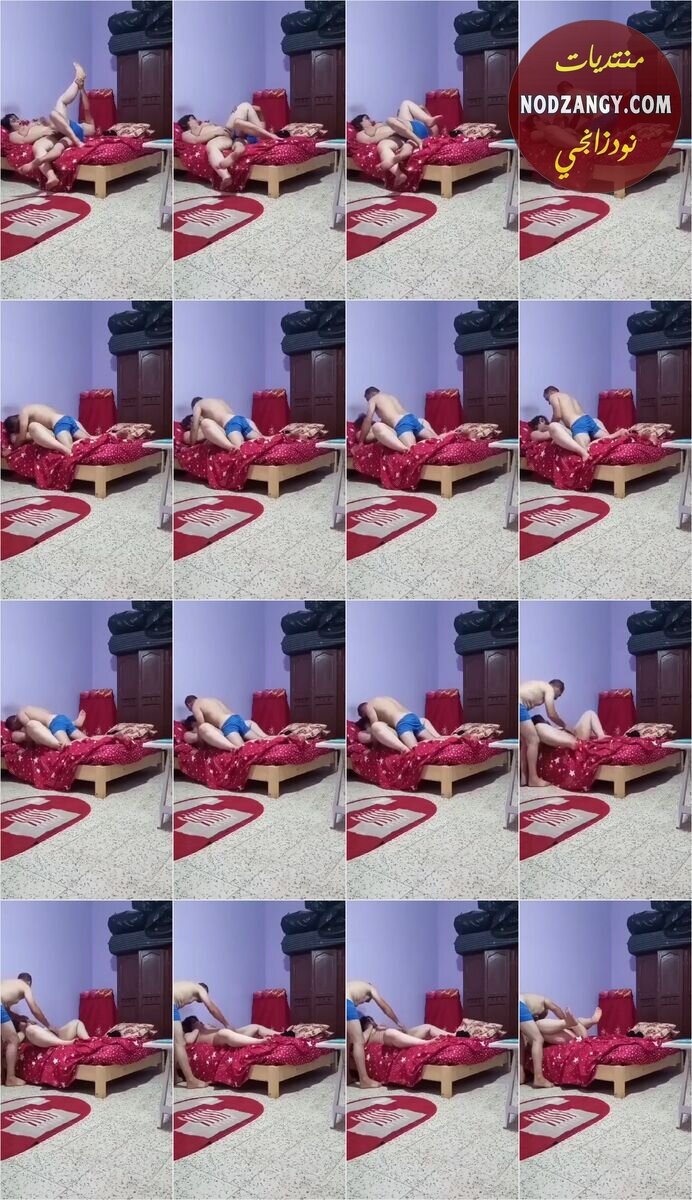 wgssly8zekme_xt.jpg