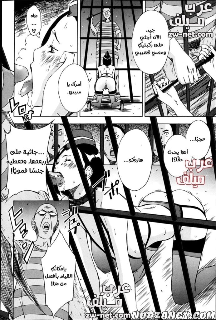 12-copy-min-692x1024.jpg 12-copy-min-692x1024.jpg