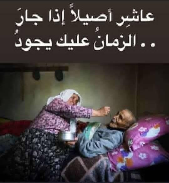 122455771 116511490235809 4534740603807659525 n