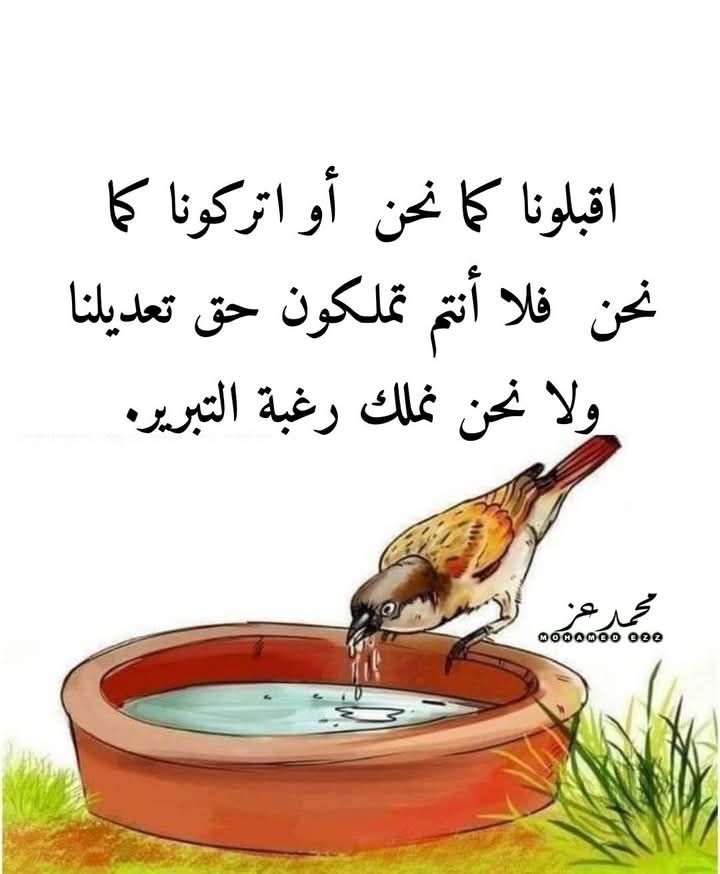 506539076 4160227140967783 6601492178489834353 n