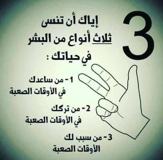 159686081 186448699908754 2037482658600798474 n