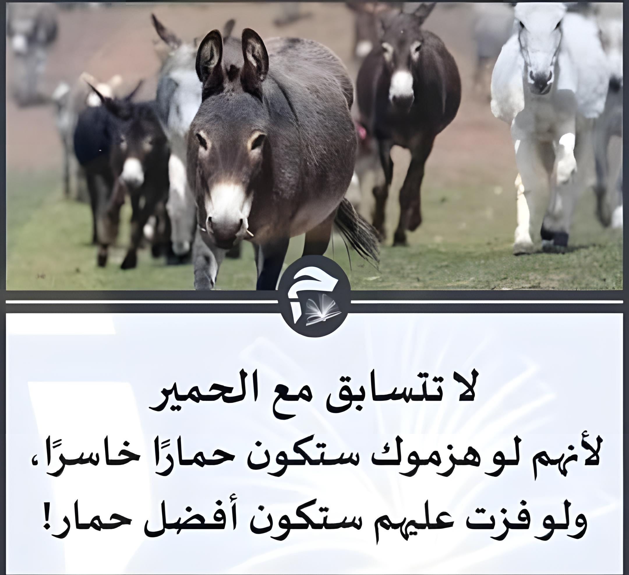 152926846 174644794422478 243485663408116501 n ٠٣٤٤٤٨