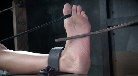 Busty MILF Rain Degrey suffers immensely while being masturbated in bondage